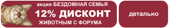 Акция для владельцев бывших бездомных животных!