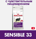 SENSIBLE 33