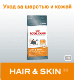 HAIR&SKIN 33