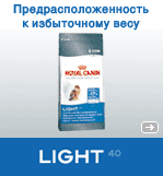 LIGHT 40