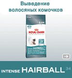 INTENSE HAIRBALL 34