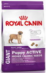 GIANT PUPPY ACTIVE
