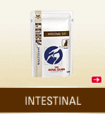 INTESTINAL FELINE