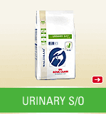 URINARY S/O FELINE