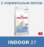 INDOOR 27