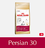 PERSIAN 30