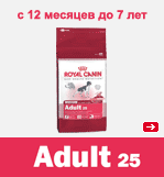 MEDIUM ADULT 25